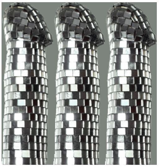 BDSM pegging
