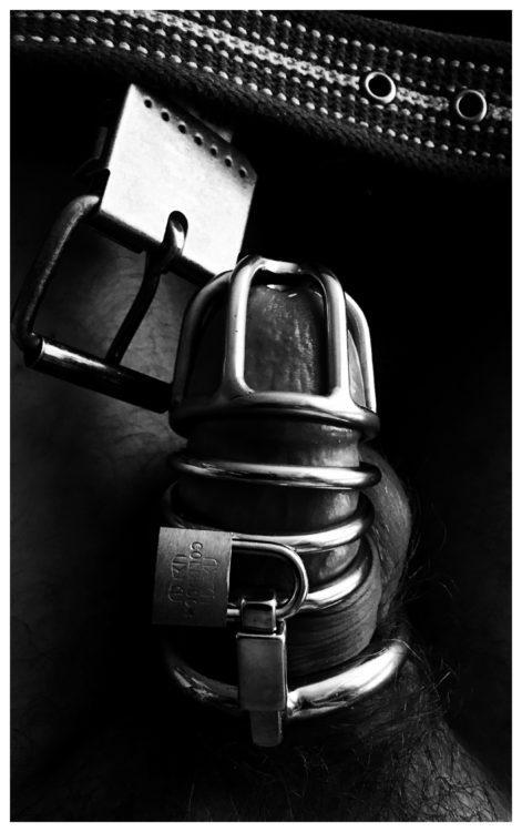 Chastity Cage