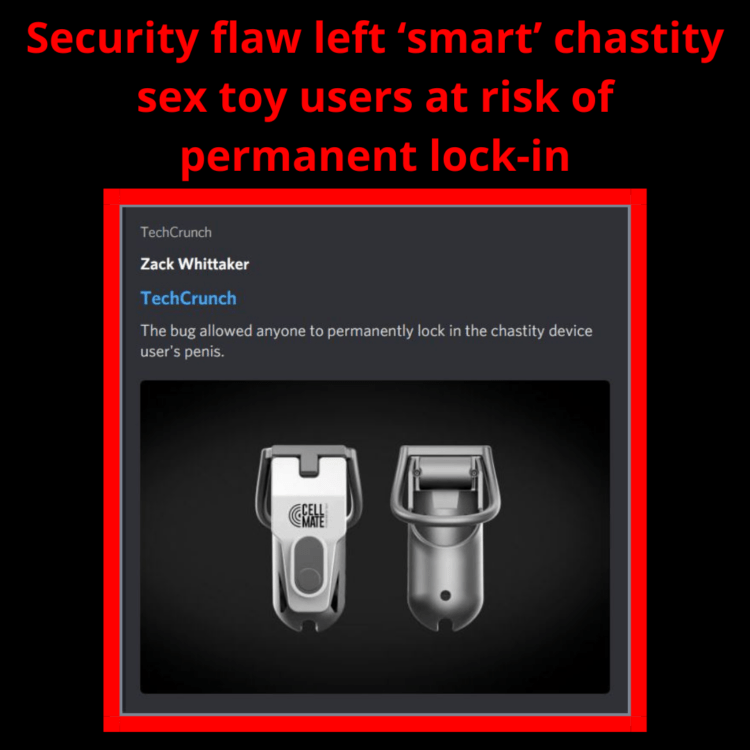 Ruby Ryder shares alert about locking app-controlled chastity cage Cellmate with security issues 